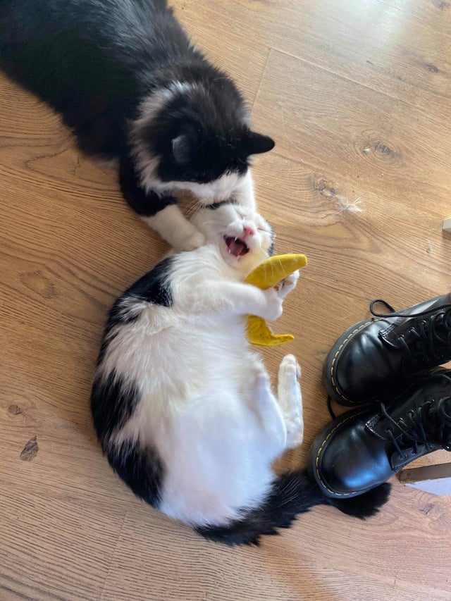 07-12-43-1625823786328300054