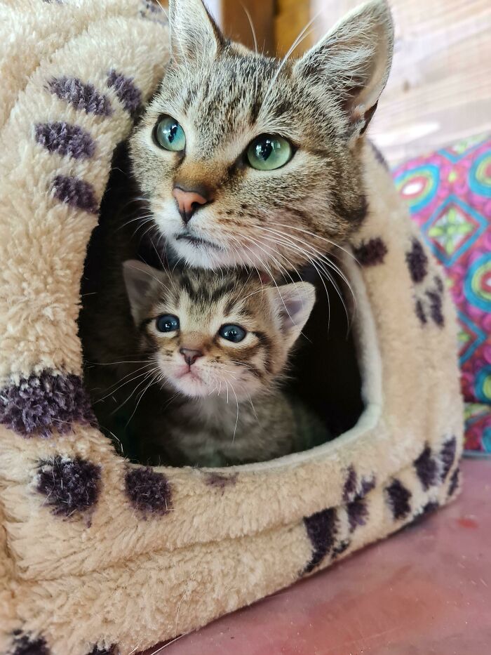 07-12-43-16258237901402519790