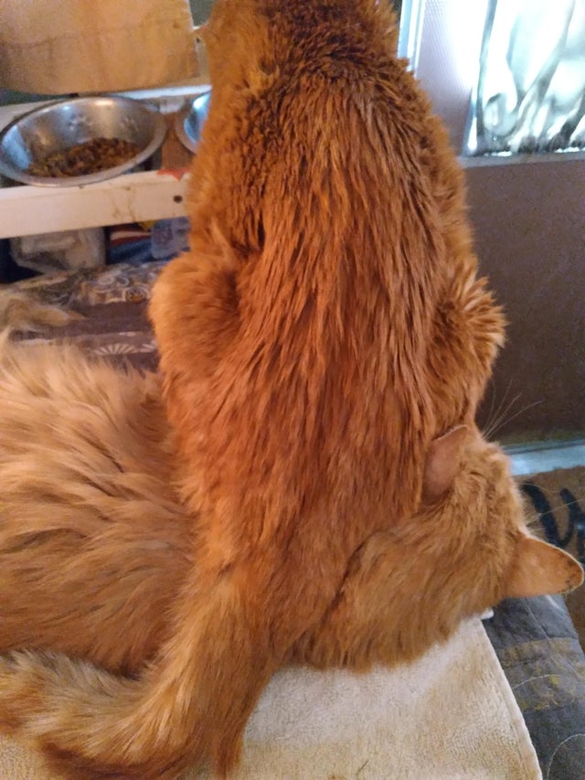 07-12-43-16258237961626612319