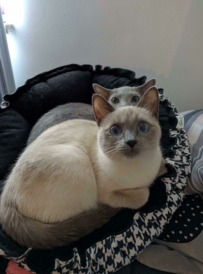 07-12-43-16258238002049098384