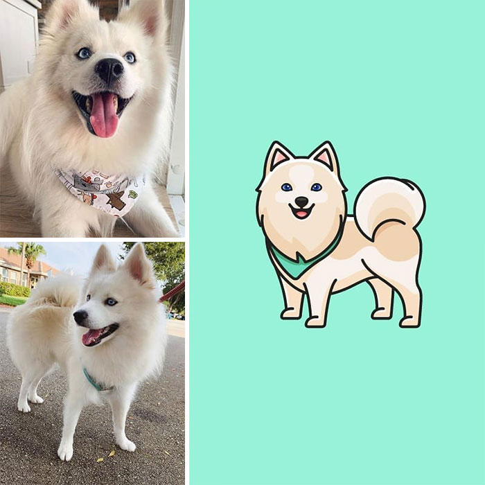 07-12-52-16273795441091068730