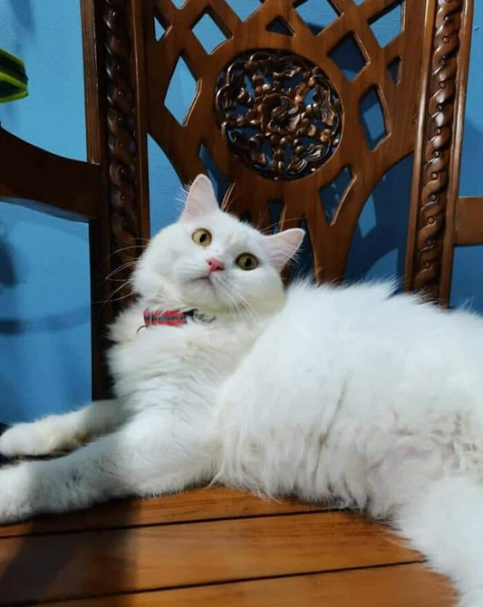 07-12-57-1625738262960432873