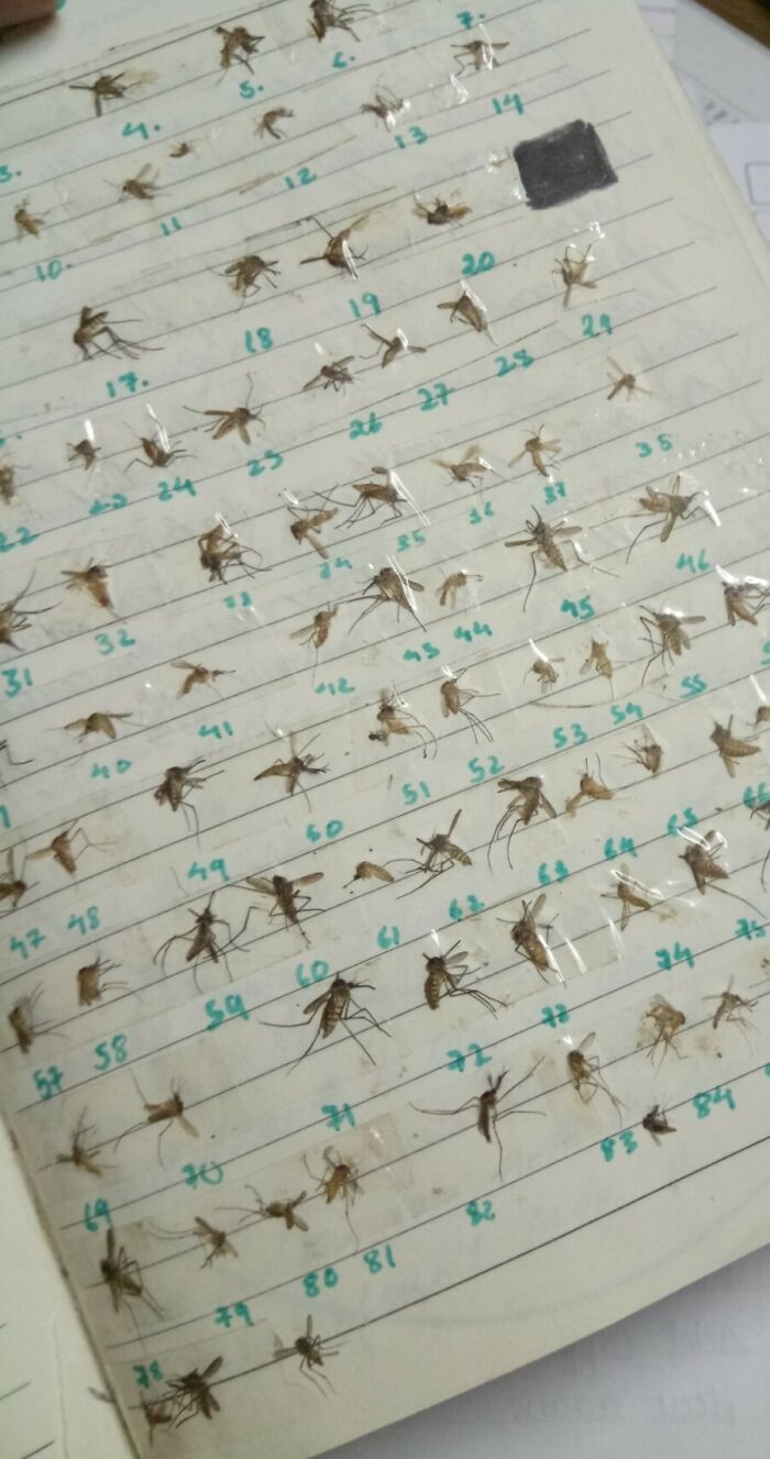 07-12-57-1627552634572699749