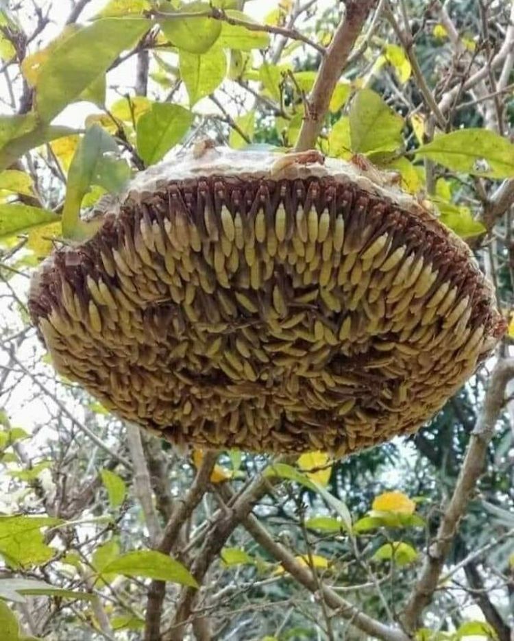 07-12-57-16275526422052544237