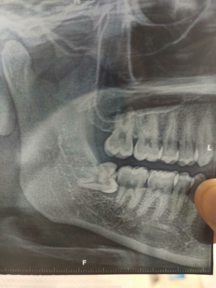 07-12-57-1627552662241365690