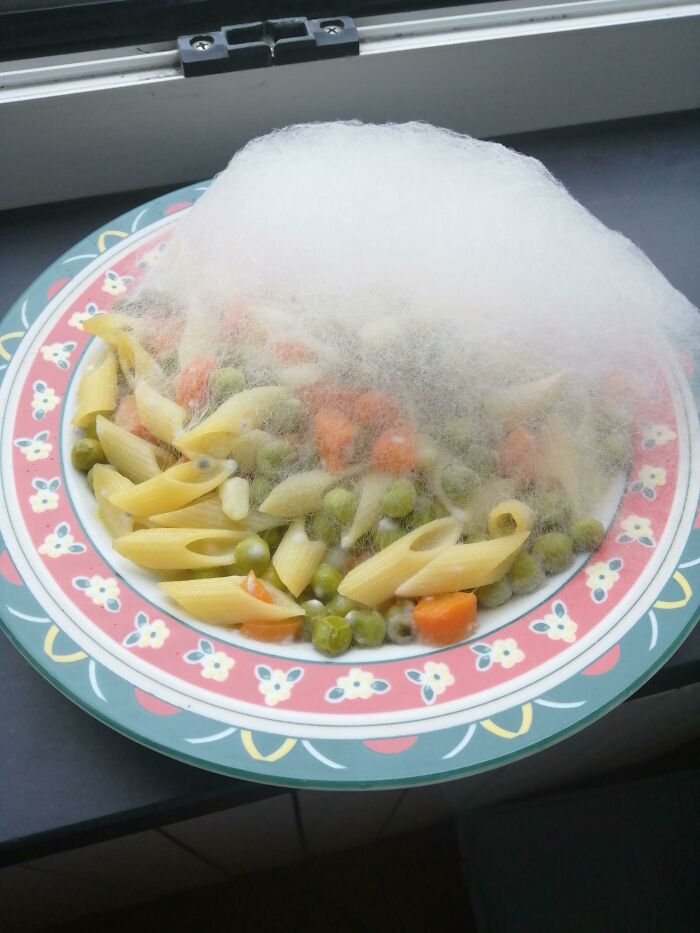 07-12-58-1627552726987877914