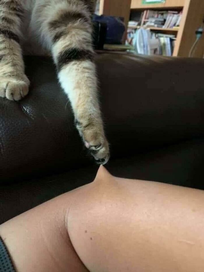 07-13-01-1626084105548185638