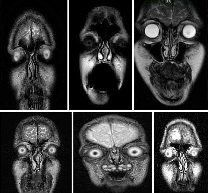 07-13-01-16260841082087836813