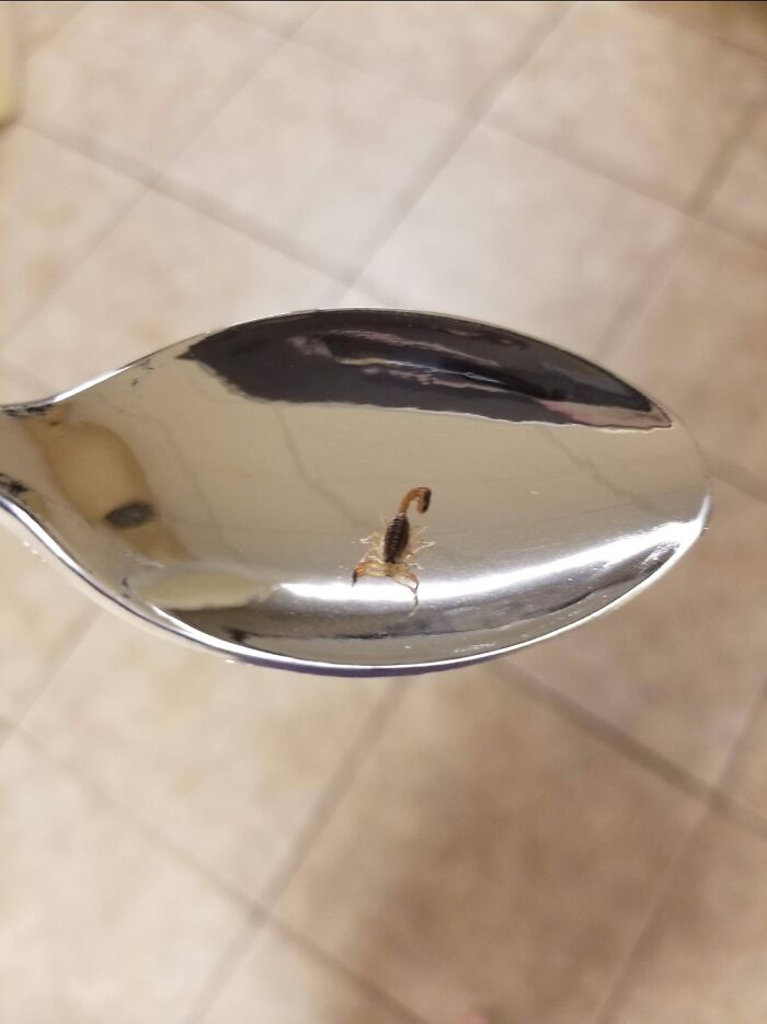 07-13-01-1626084111992522335