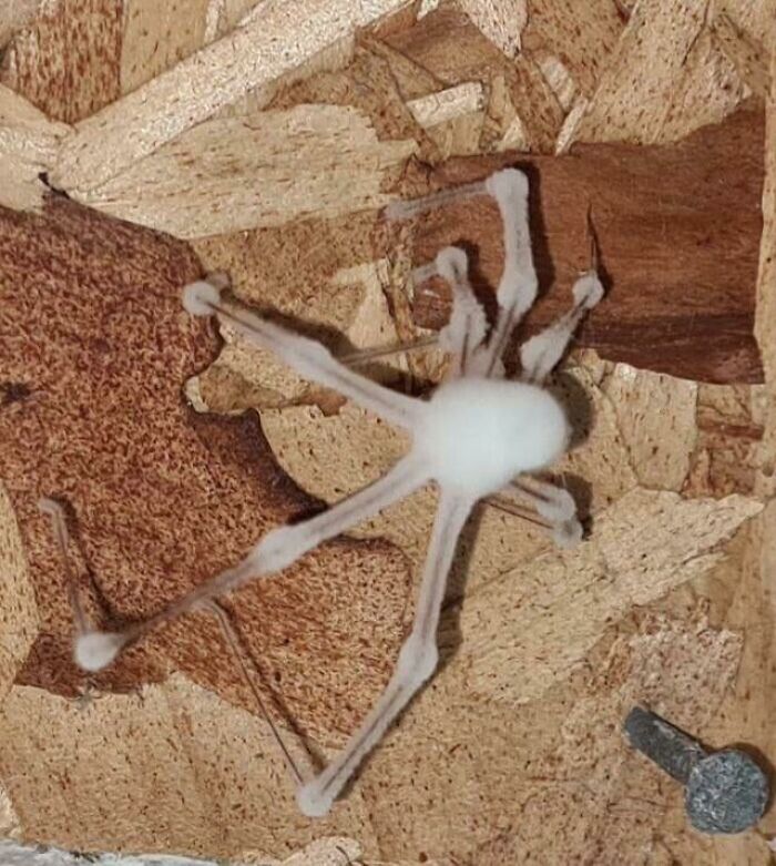 07-13-02-16260841402017890954