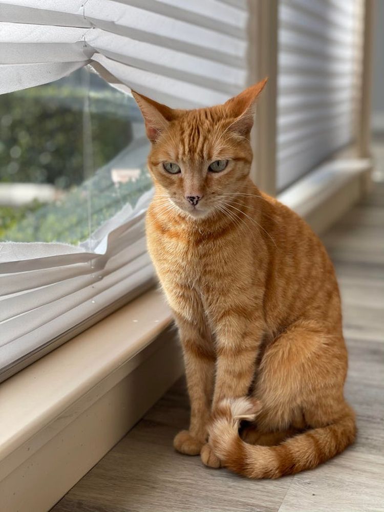 07-13-20-16270356251013047484