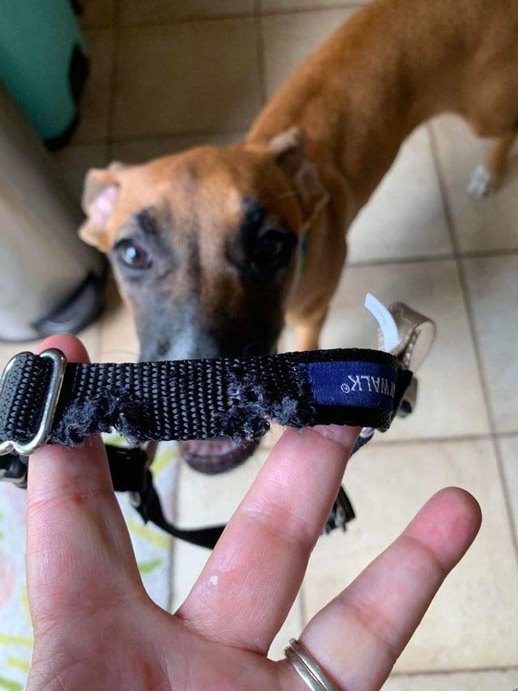 07-13-20-16270356281486642040