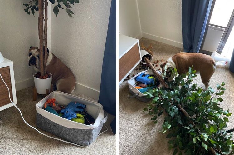 07-13-20-1627035648373952831