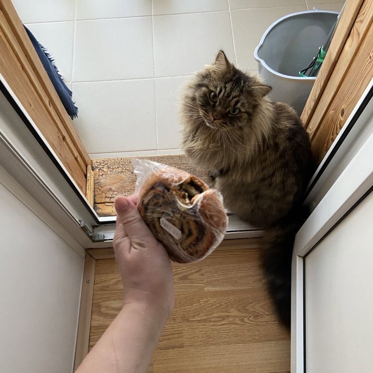 07-13-20-16270356511344442447