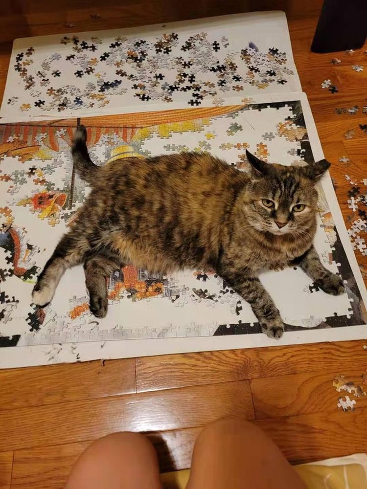 07-13-20-16270356541635818102