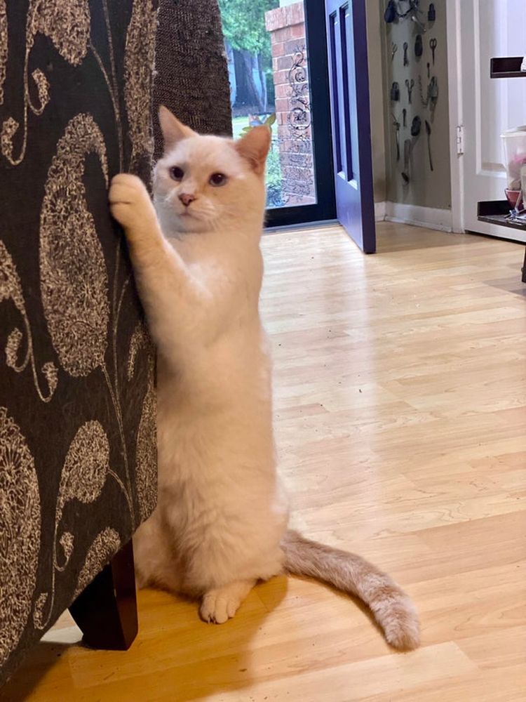 07-13-21-16270356611986836100