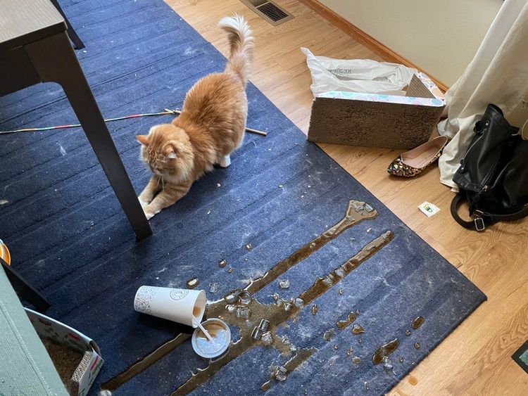 07-13-21-1627035665171935325