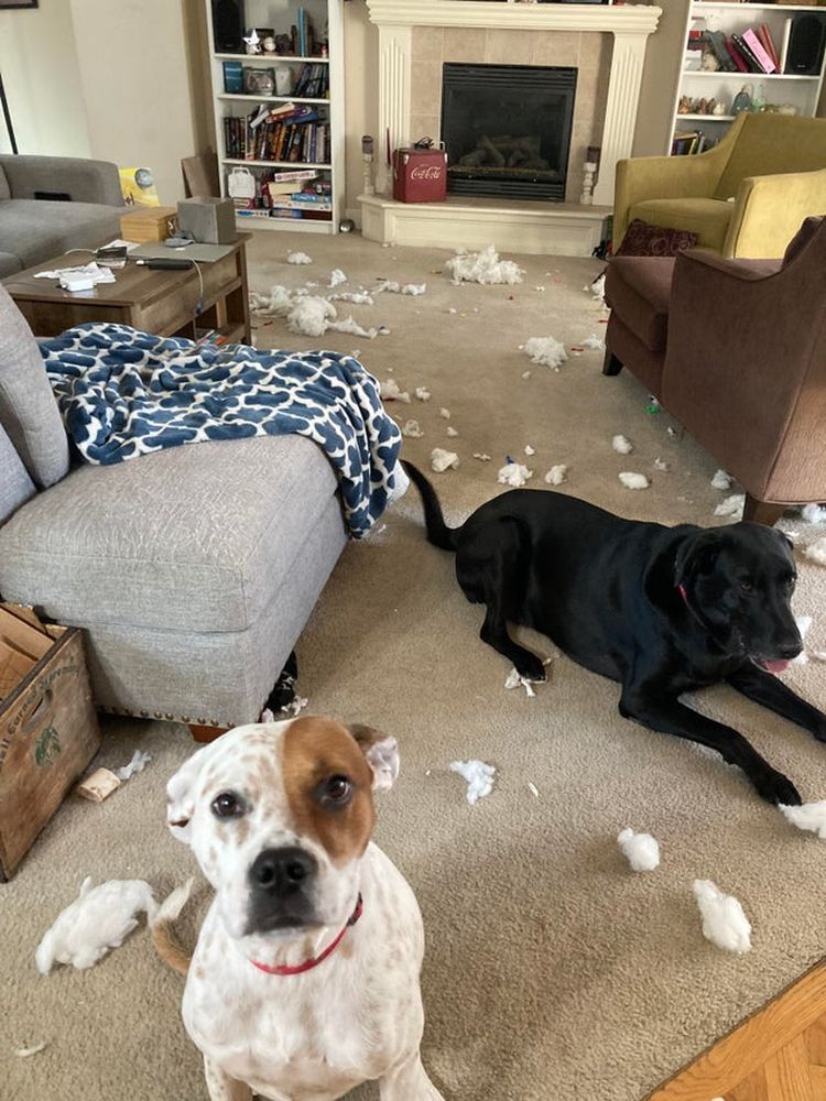 07-13-21-16270356681863163655