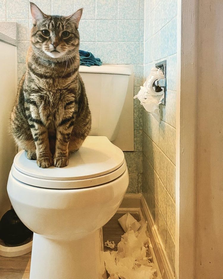 07-13-21-16270356851007738938