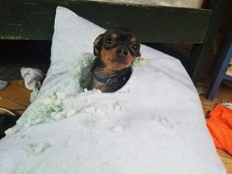 07-13-21-16270356881590047175