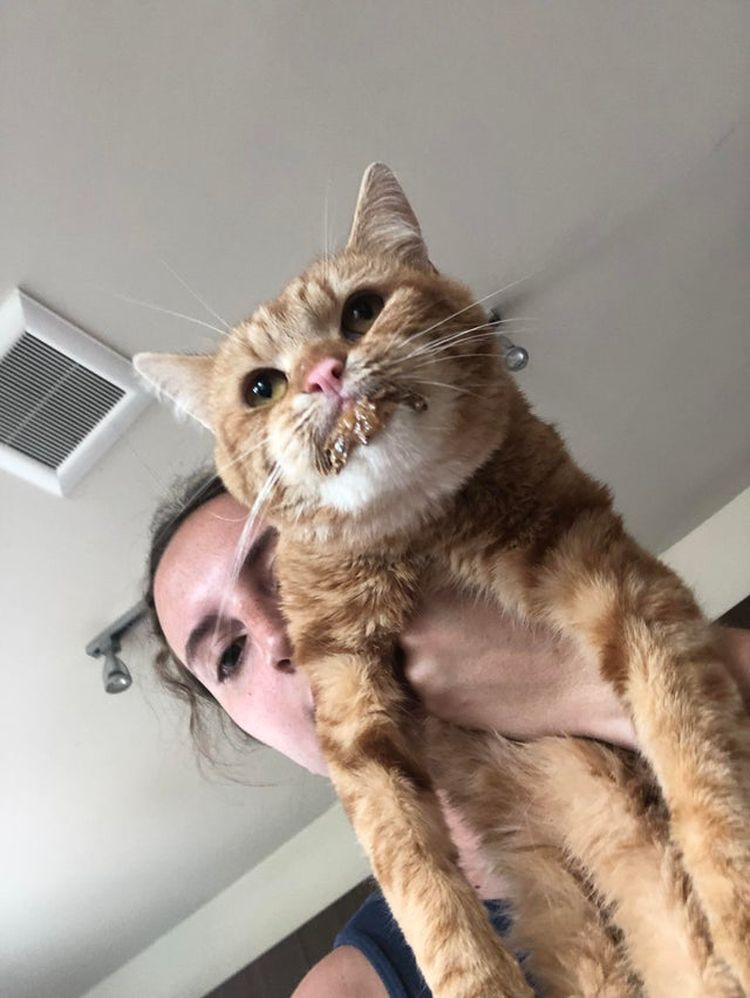 07-13-21-1627035696193866789