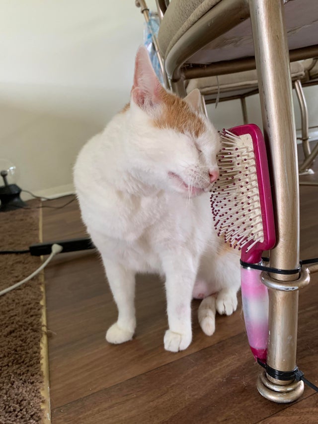 07-13-34-16267772581708643419