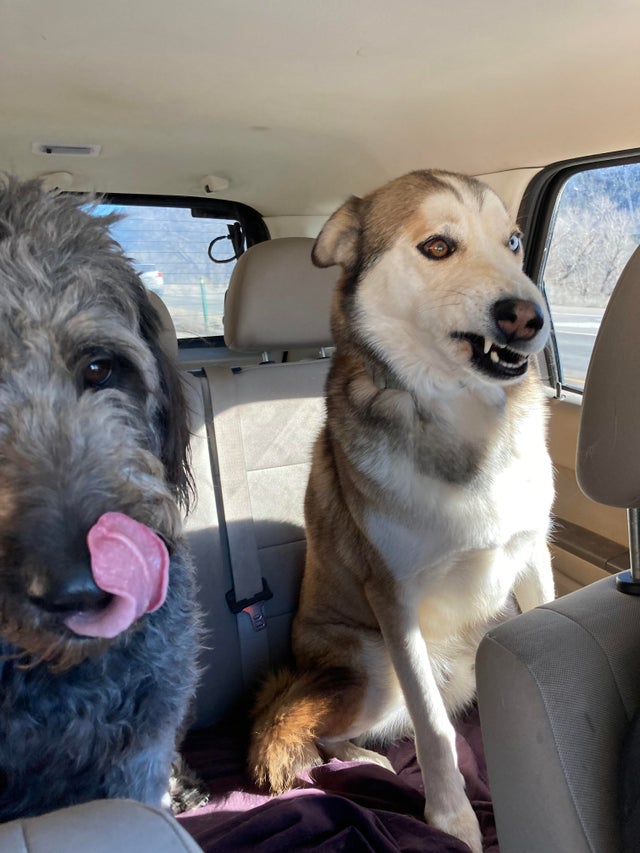 07-13-58-16275563341321402608