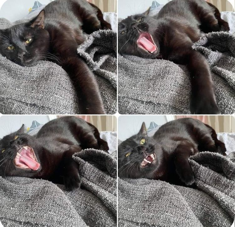 07-13-58-1627556337713840186