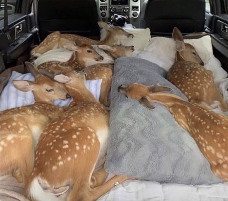 07-13-59-16252235472080100013