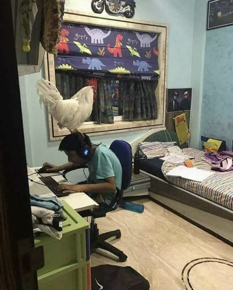 07-13-59-16252235501304402702