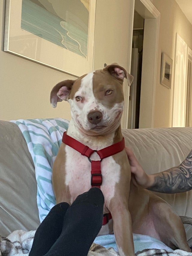 07-13-59-16275563461399193383