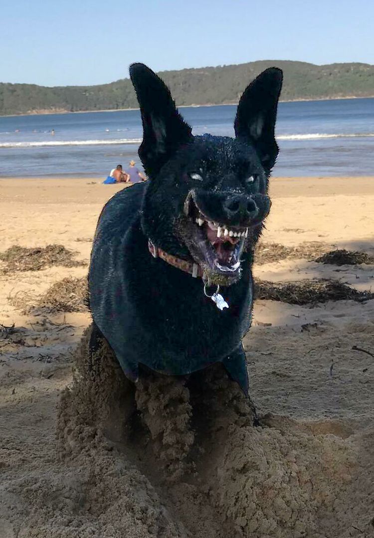 07-13-59-1627556355730773053