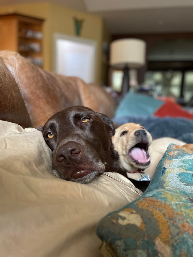 07-13-59-162755637653630280