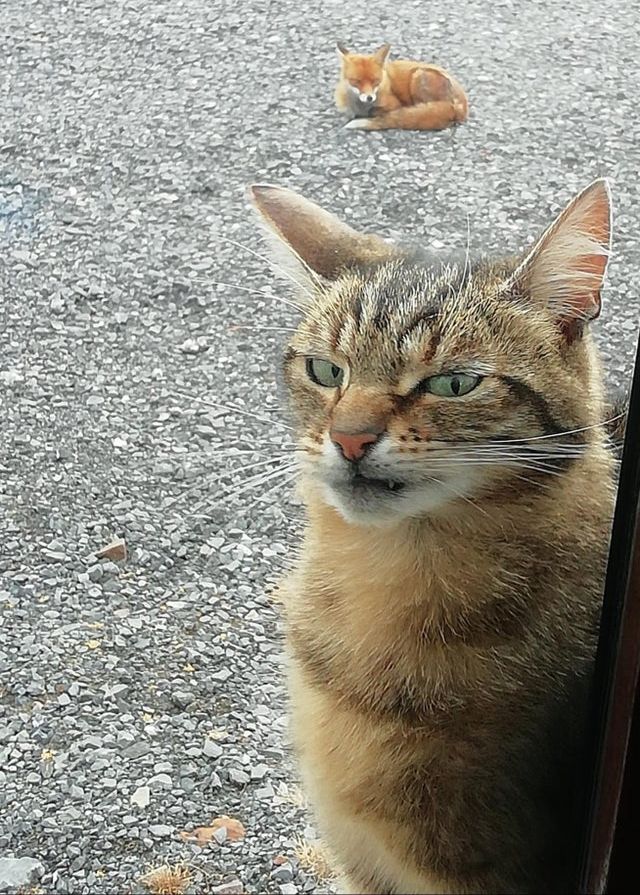 07-13-59-16275563801461880344