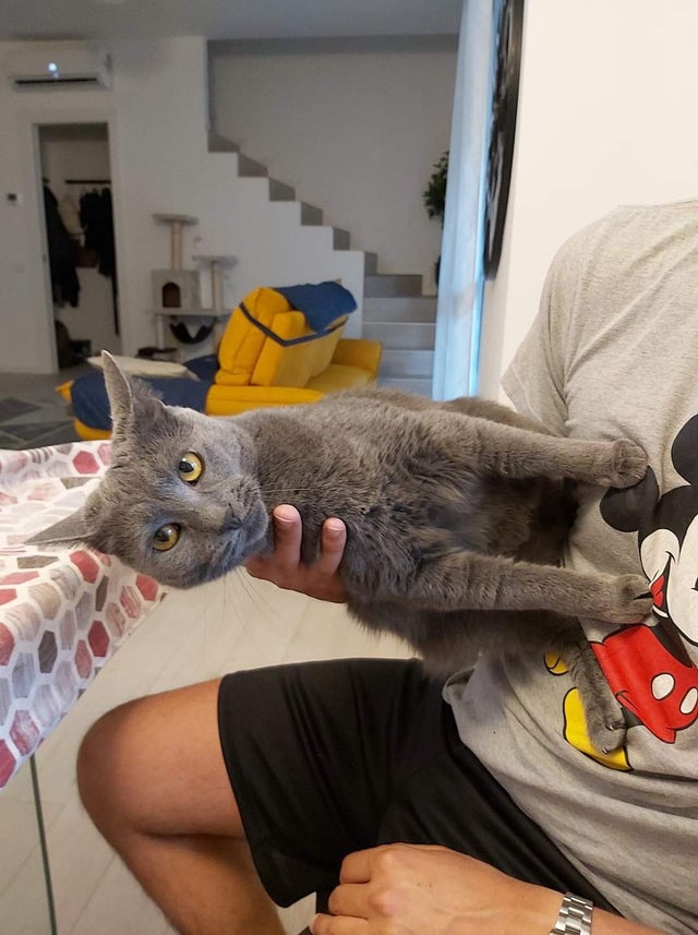 07-13-59-1627556387370703434