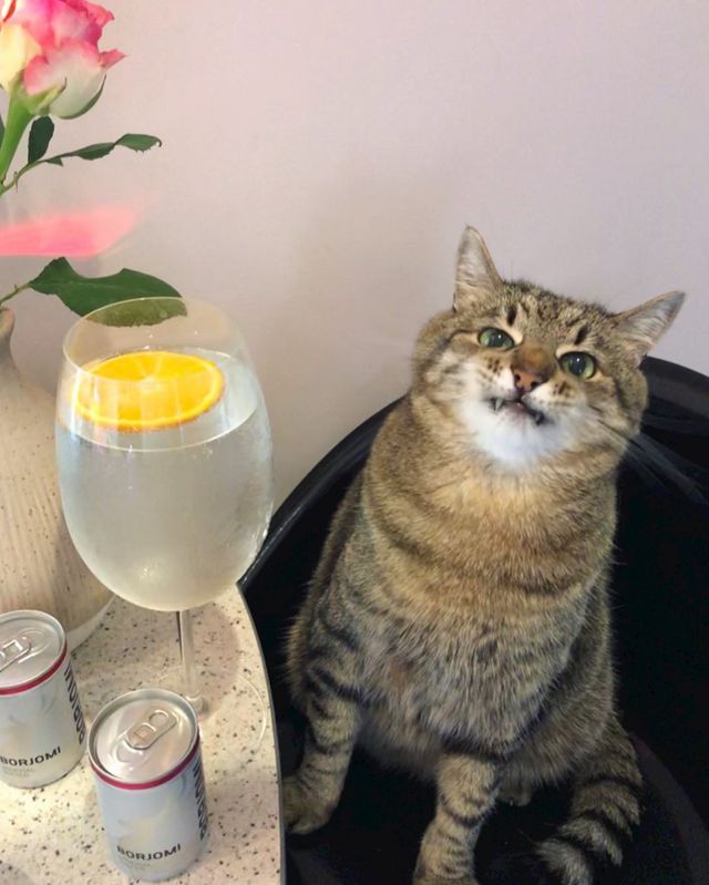 07-13-59-16275563911646419525