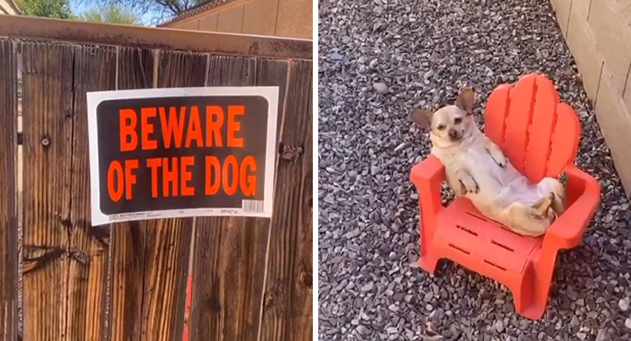 07-14-14-1626952447409603212