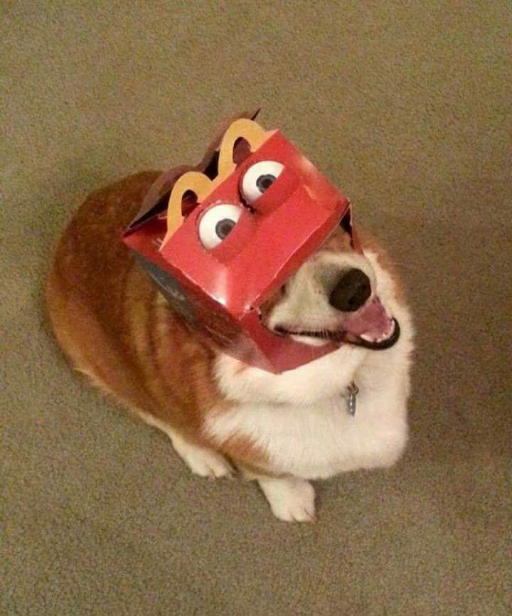 07-14-14-16269524501952860679