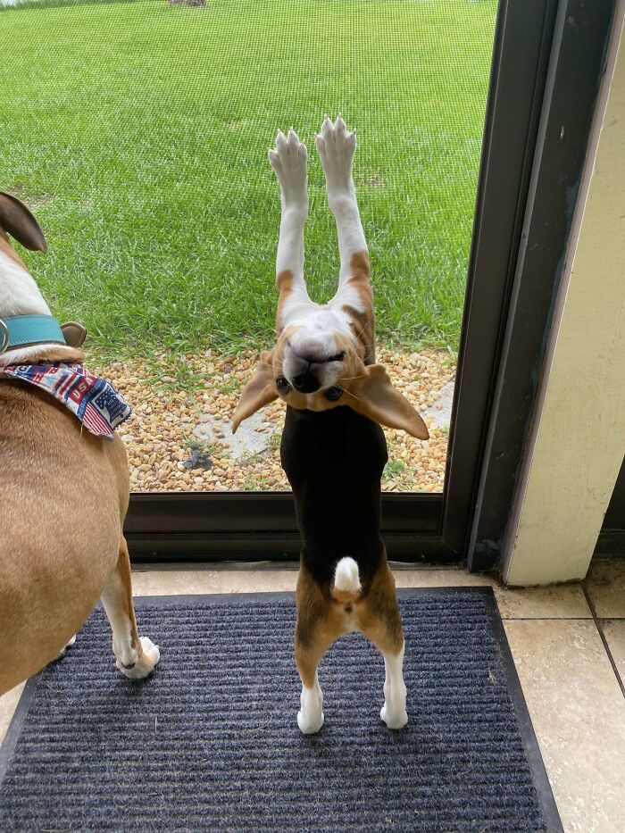 07-14-14-16269524701860568756