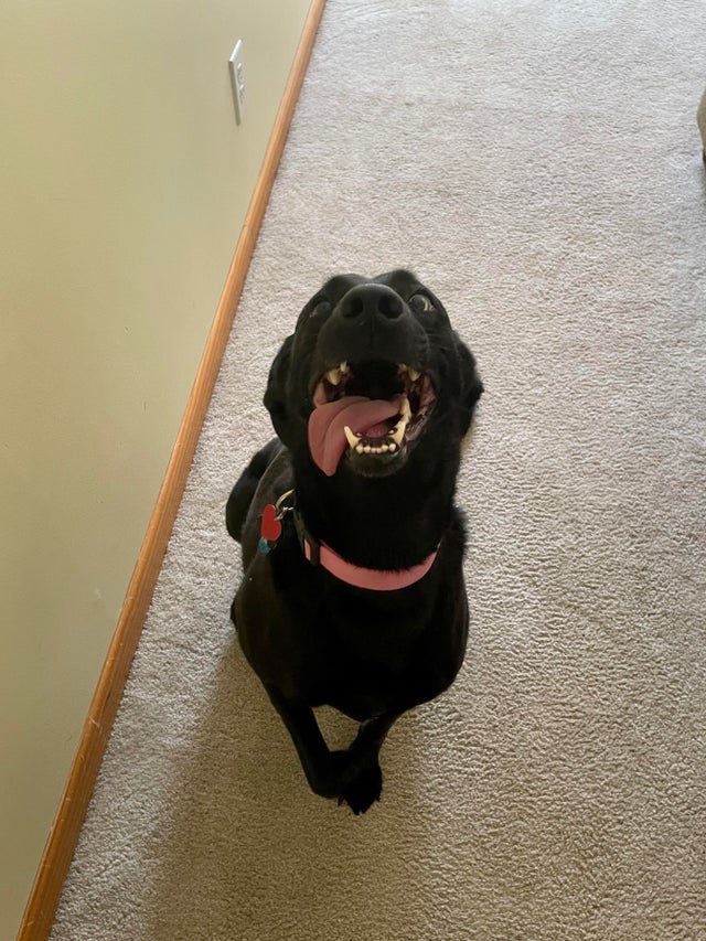 07-14-14-16269524811323041797