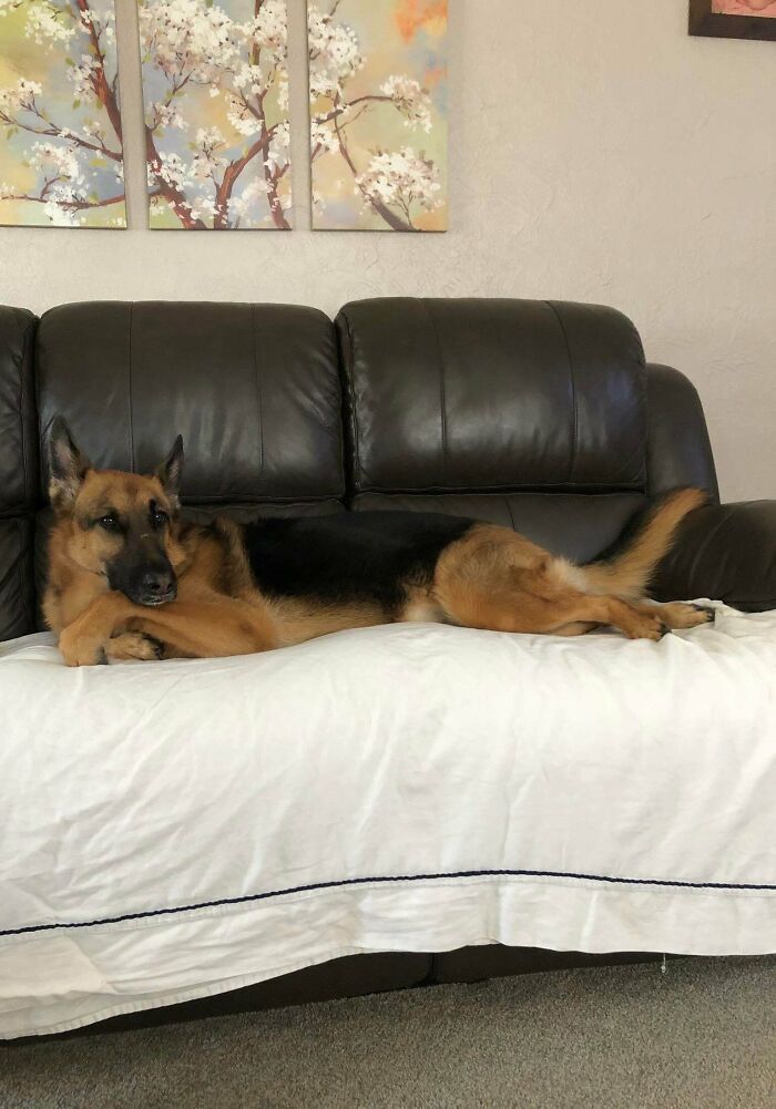 07-14-14-16269524871726379233