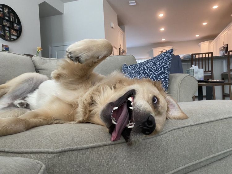 07-14-15-16269525141678792359