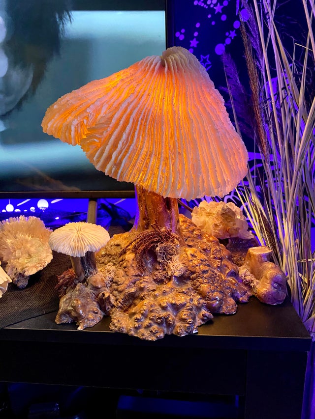 07-14-15-16273845001077868549