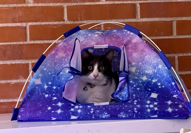 07-14-15-162738451352891903