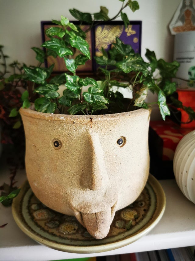 07-14-15-1627384522890825398