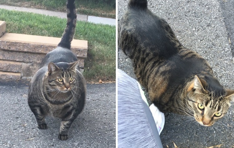 07-14-20-16263480251895880698