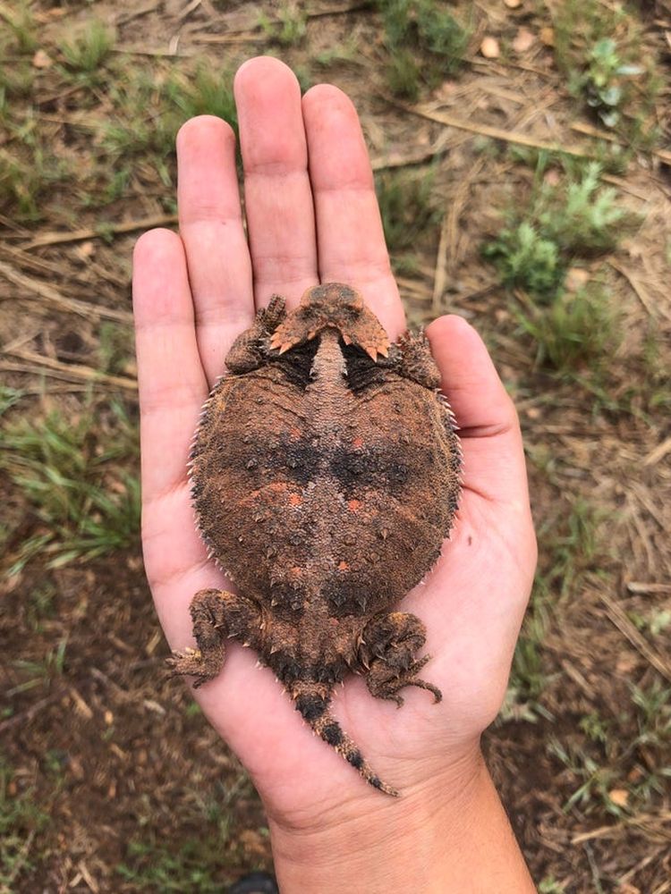 07-14-20-1626348029131354655