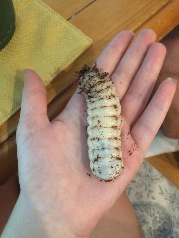 07-14-20-1626348032874715268