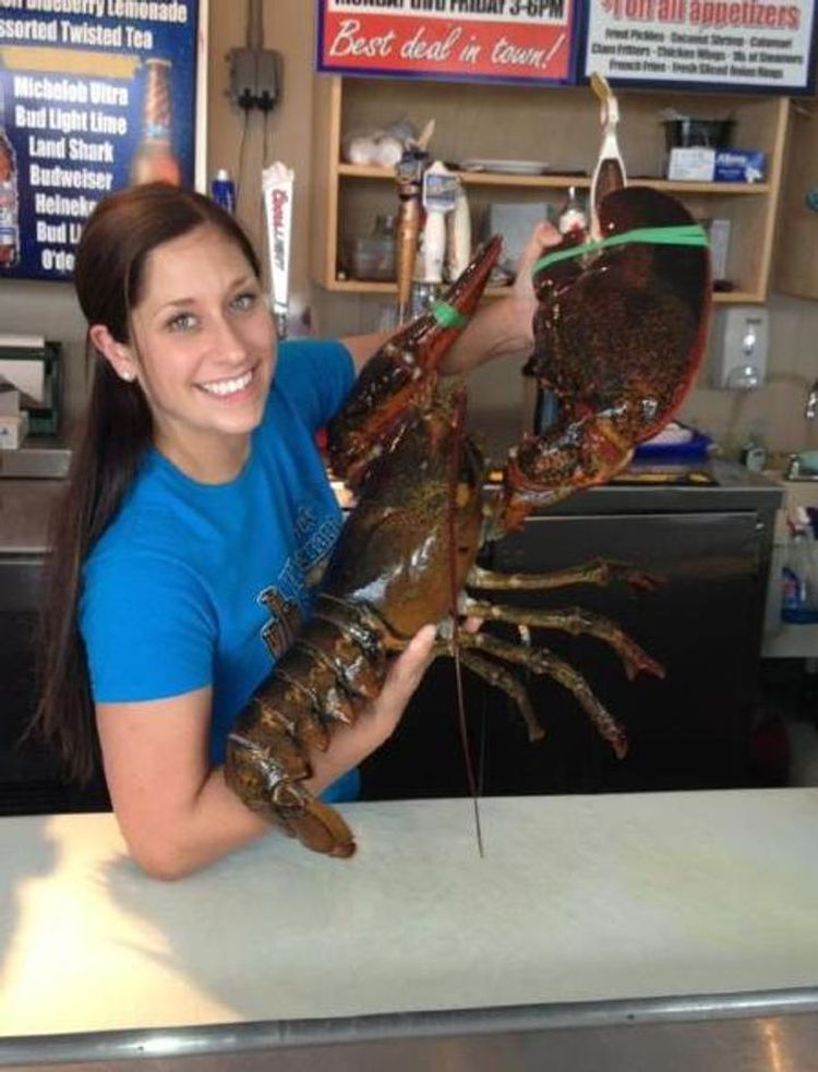 07-14-21-16263480731577527732