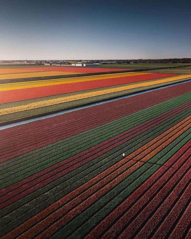 07-14-31-1625225506869651852